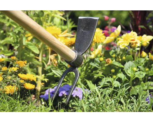 Săpăligă dublă cu coadă de lemn în stratul de flori