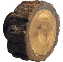 Felie de trunchi de copac cu scoarță