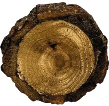 Felie de trunchi de copac cu scoarță