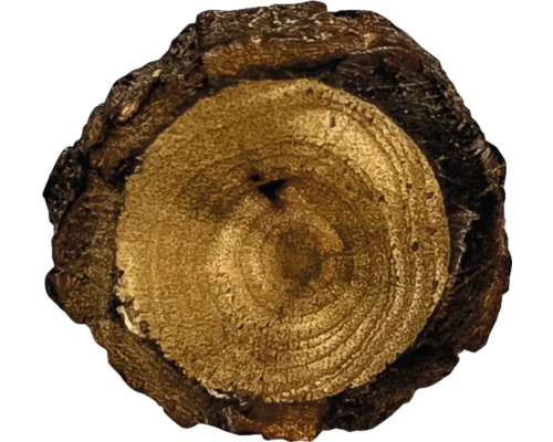 Felie de trunchi de copac cu scoarță