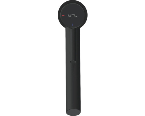 Baterie de bucătărie Avital