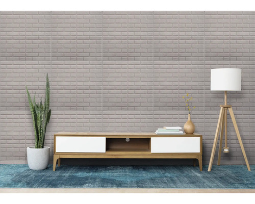 Living cu un perete din plăci de faianță tip cărămidă, un dulap TV din lemn și o lampă de podea.