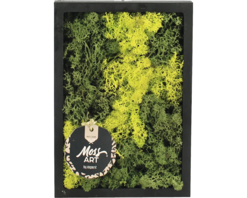Tablou cu mușchi cu ramă neagră