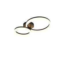 Lumină de tavan cu două elemente LED rotunde