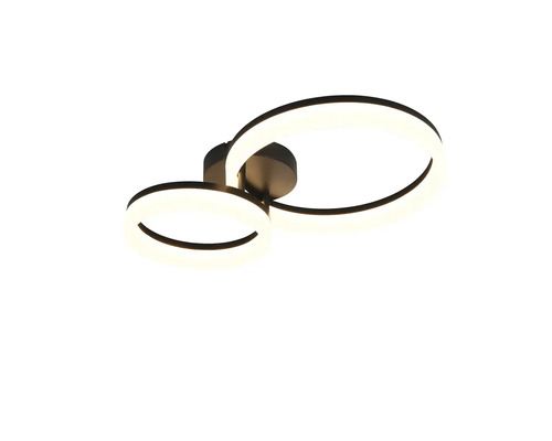 Lumină de tavan cu două elemente LED rotunde