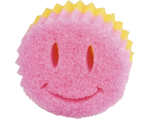 Burete de curățare cu față