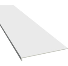 Plintă