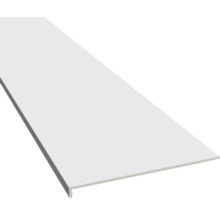 Plintă