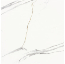 Model de faianță cu aspect de marmură