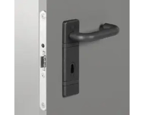 Feronerie ușă cu mâner și cutie de încuietoare