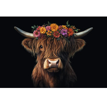 Portret de vită scoțiană cu coroană de flori