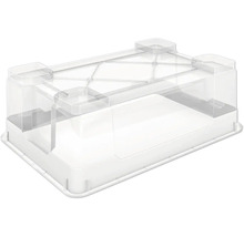 Cutie de depozitare din plastic cu capac transparent