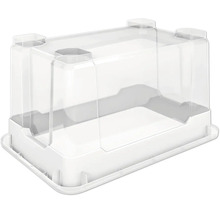 Mini seră transparentă pe tavă inferioară albă pentru cultivarea plantelor