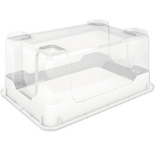 Cutie transparentă cu capac