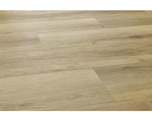 Parchet SPC AFIRMAX 5,3 mm stejar Tucson | HORNBACH