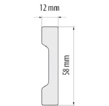 Desen tehnic cu dimensiuni: 12 mm lățime, 58 mm înălțime