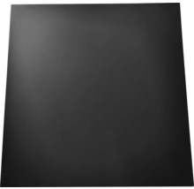 Placă spate neagră