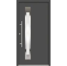Ușă de intrare modernă cu mâner din oțel inoxidabil și decupaj pentru lumină