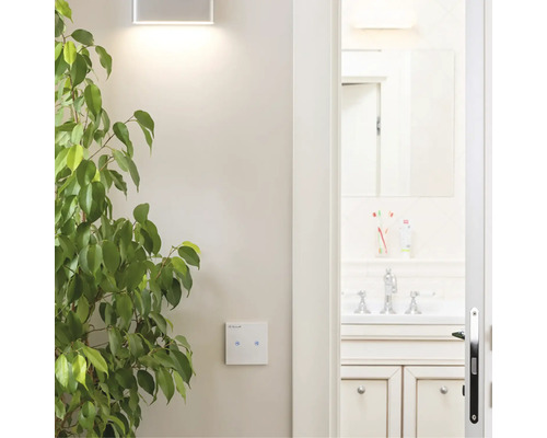 Scenă luminoasă de baie cu lampă de perete, întrerupător și plantă de interior