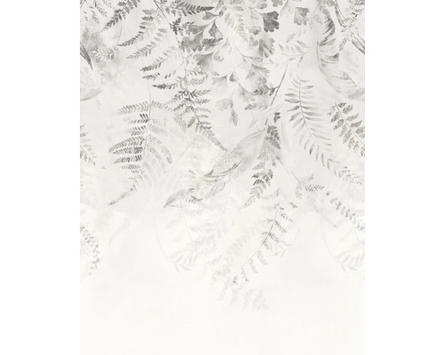 Fototapet vlies IF2-016 Illuminating Ivy 200x250 cm Tapet cu model de ferigă