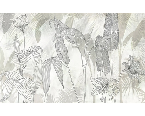 Ilustrație cu plante și frunze ca decor de perete