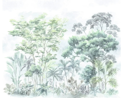 Ilustrație a unei păduri tropicale cu diverși copaci și plante