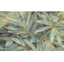 Prim-plan cu plante de ghimbir cu frunze dungate.