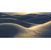 Peisaj de dune cu valuri de nisip și vegetație rară