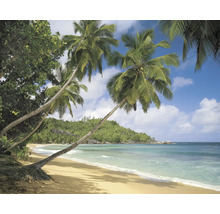 Plajă tropicală cu palmieri și apă limpede