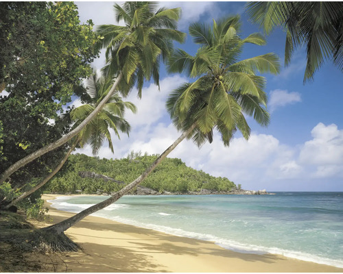 Plajă tropicală cu palmieri și apă limpede