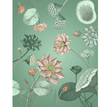 Ilustrație cu flori și frunze de lotus pe fundal uni