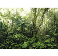 Pădure tropicală densă cu vegetație luxuriantă