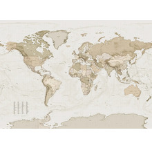 Hartă mondială cu detalii geografice