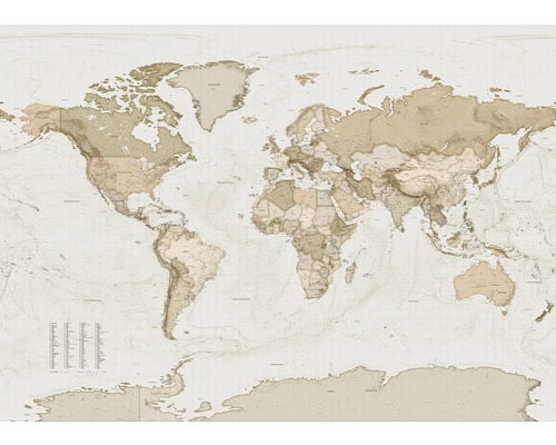 Hartă mondială cu detalii geografice