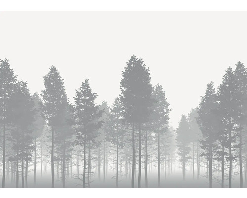 Ilustrație a unei păduri dese în ceață
