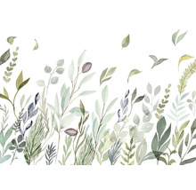 Ilustrație cu diverse plante verzi pe fundal alb