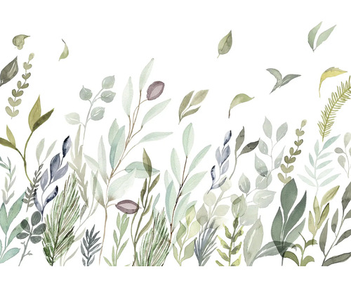 Ilustrație cu diverse plante verzi pe fundal alb