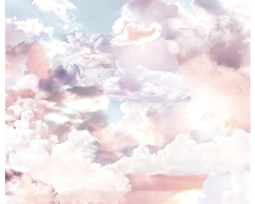 Model de nori pentru decorarea pereților