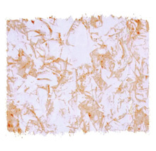 Tapet cu model organic