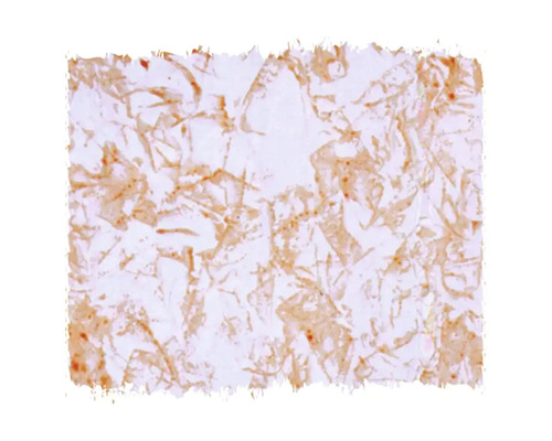 Tapet cu model organic