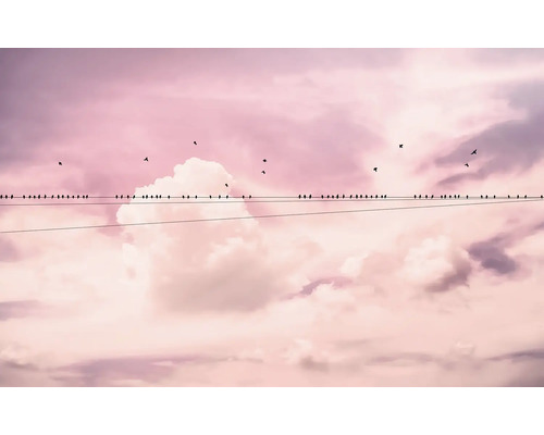 Multe păsări stau pe o linie electrică în fața unui cer înnorat.