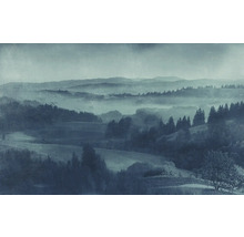 Imagine de peisaj cu munți, păduri și ceață