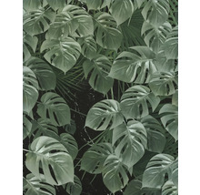 Tapet cu model de frunze de Monstera și palmier