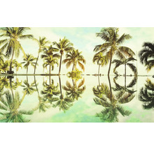 Frunze de palmier cu reflexie în apă