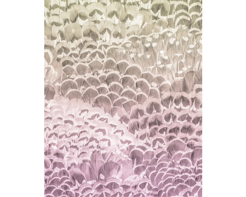 Fundal din pene pentru proiecte de bricolaj și decorațiuni