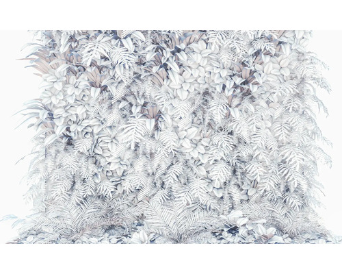 Perete decorativ cu plante, cu ferigi și alte plante