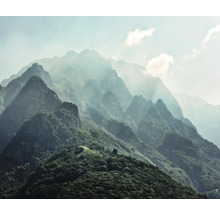 Peisaj montan cu ceață și împădurire