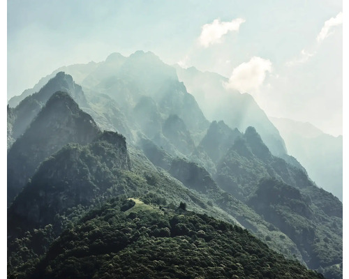 Peisaj montan cu ceață și împădurire