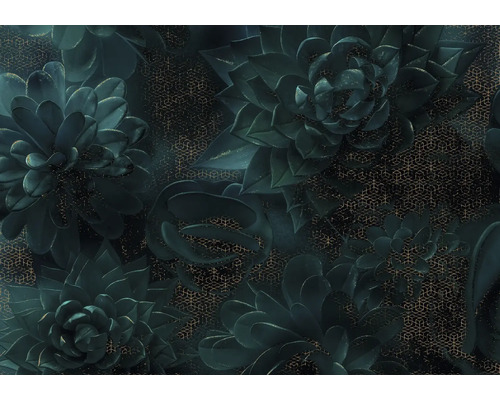 Tapet cu model de suculente și design geometric