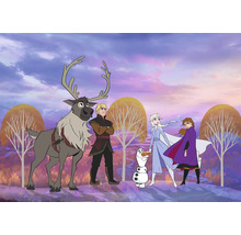 Scenă cu personajele din Regatul de gheață: renul Sven, Kristoff, omul de zăpadă Olaf, Elsa și Anna.
